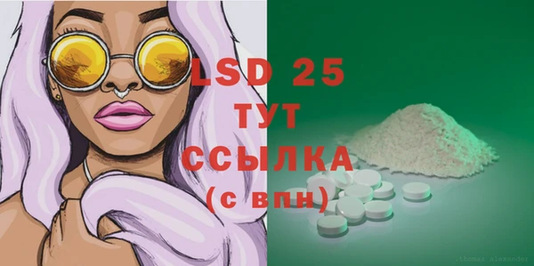 PSILOCYBIN Баксан