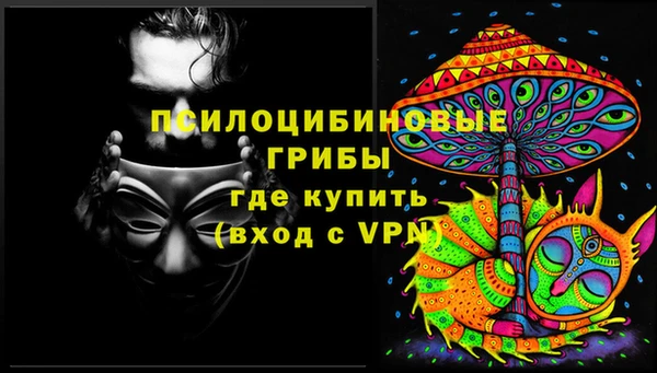PSILOCYBIN Баксан